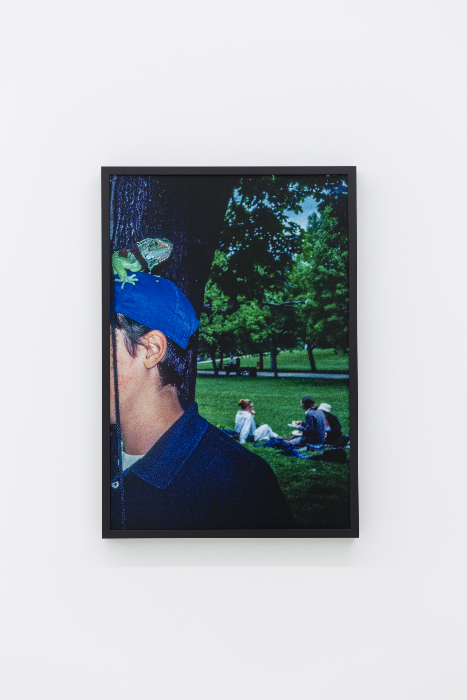 Photo of a group of people sitting in a park; in the foreground there is a boy in a blue baseball cap with an iguana on his head