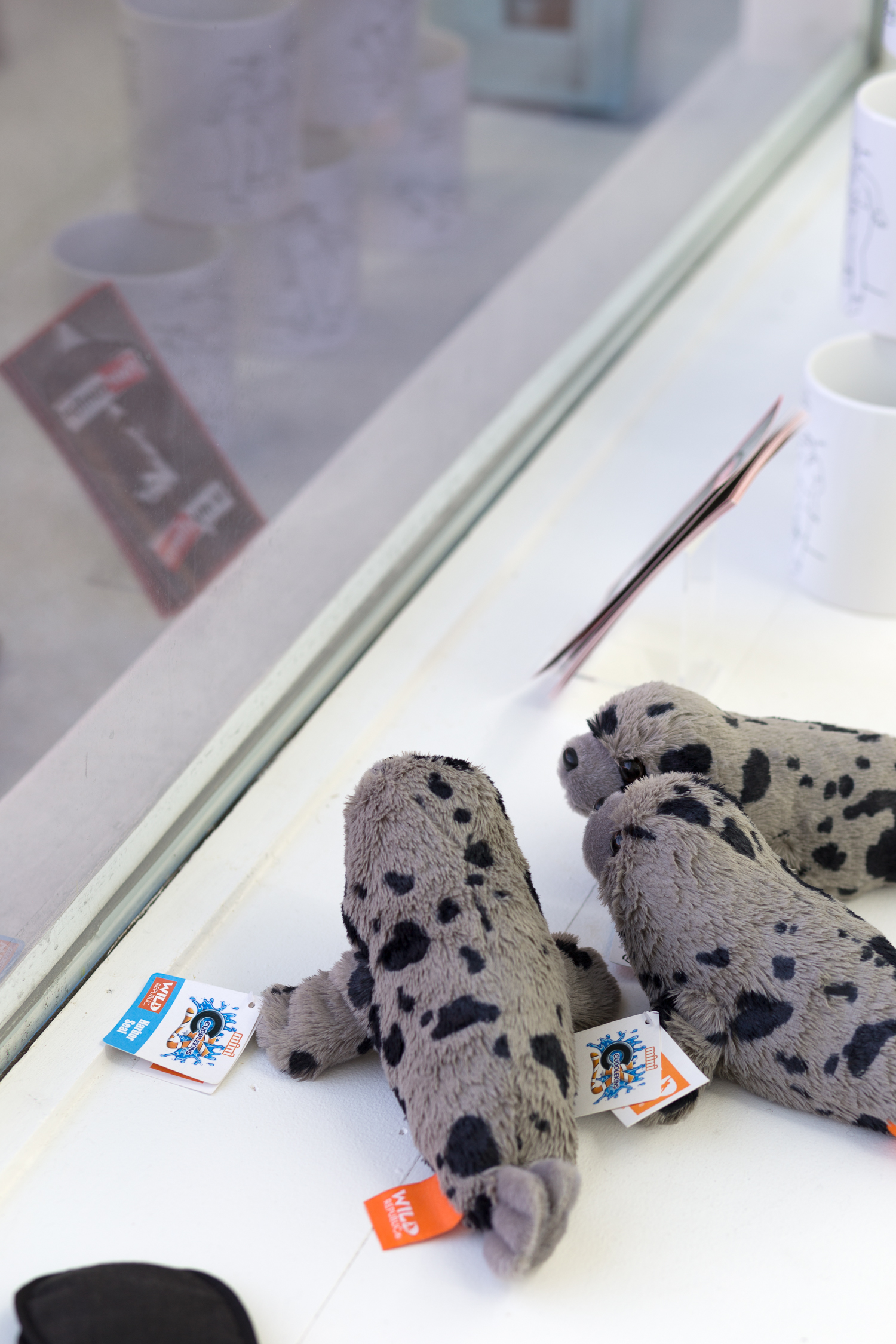 Three stuffed spotted seals sit in the window